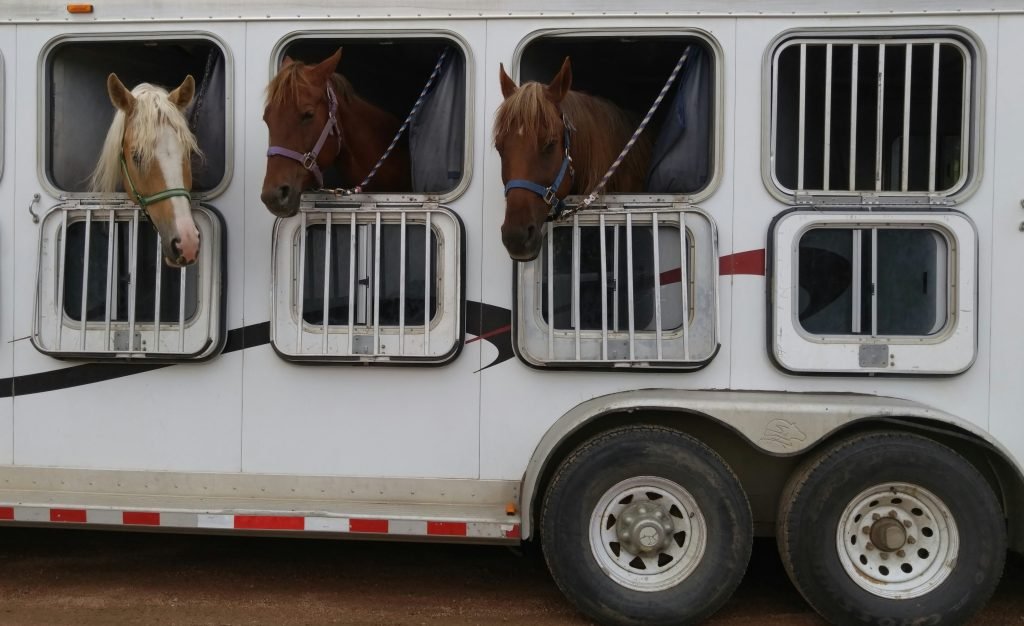 Outlaw Equine Transport The Leading Horse Transportation Company on