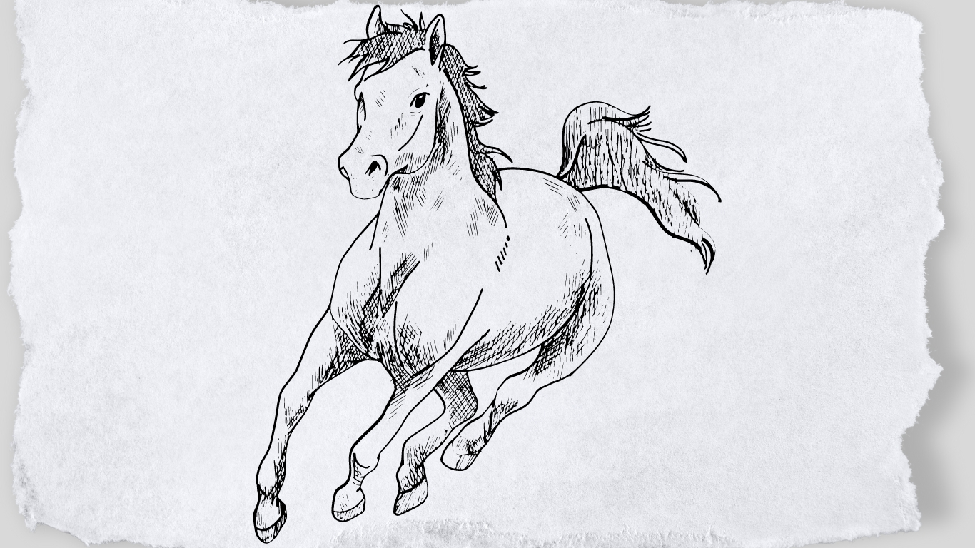 How to Draw a Horse Head, Mane, and Tail? Netung