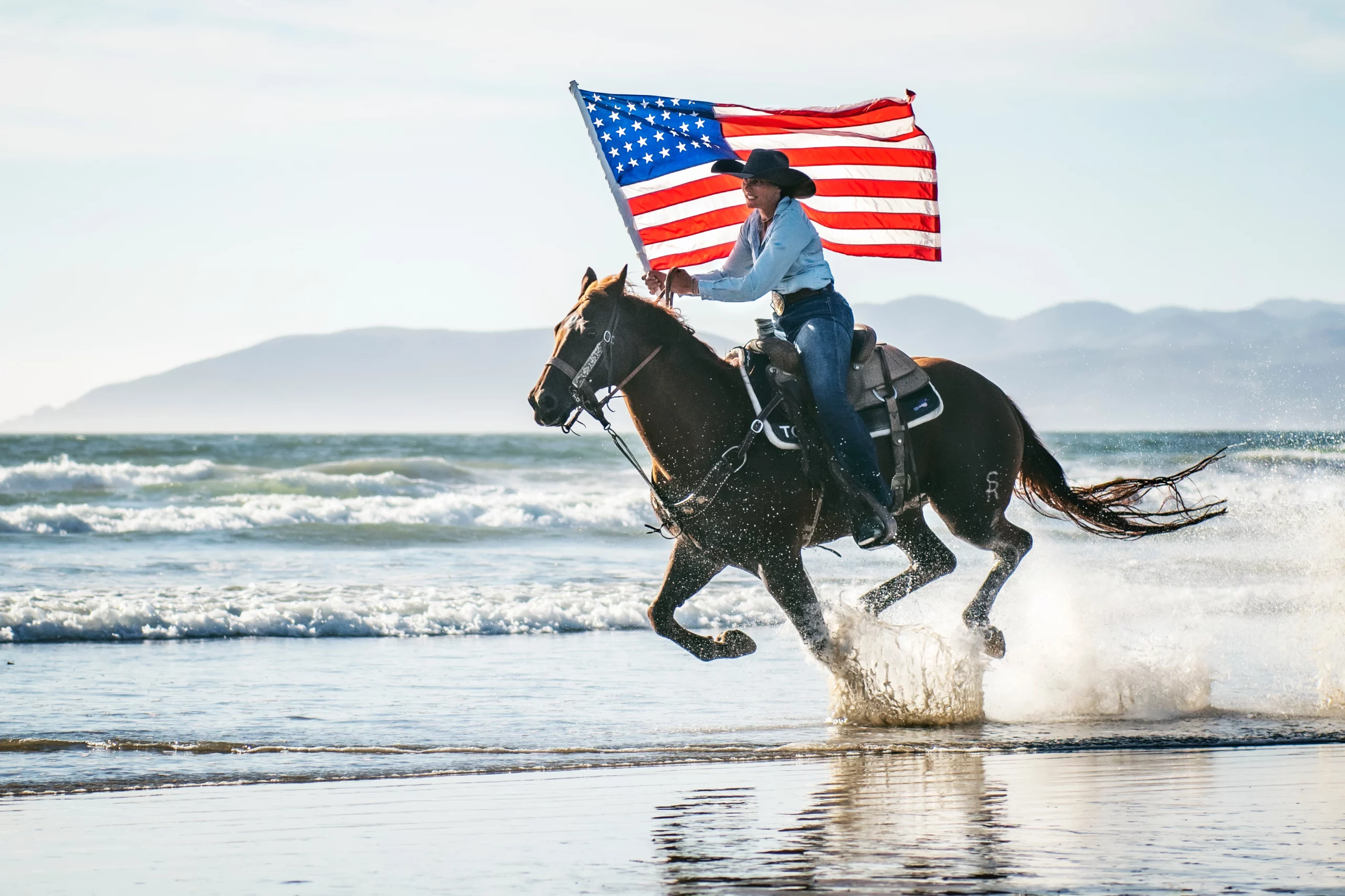 The History of Horses in America: From Extinction to the Wild West - Netung